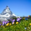 Wycieczka Szwajcaria górska przygoda