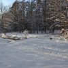 Zimowisko w Janowie Lubelskim