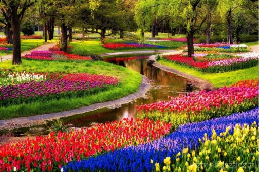 Wycieczka Parada Kwiatów w Holandii 2022 (PBO-012)