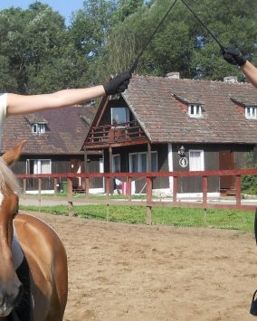 Kurs pracy z ziemi z koniem Zbrosławice wiek 10-18 lat 2026 (A1-297)