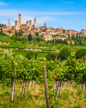 Wycieczka do Włoch – Toskania – 2 noce HB 2026 (I1-067)