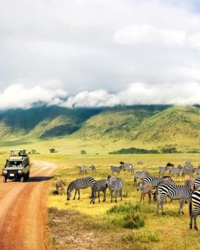 Tanzania Parki Narodowe + Wyspa Wonnych Przypraw Zanzibar Wycieczka 2026 (L1-033)