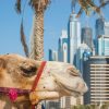 Wycieczka Dubaj zwiedzanie i wypoczynek 2022 (L1-046)