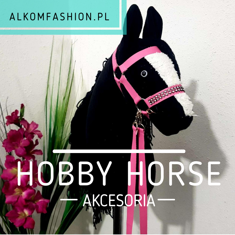 Hobby Horse 3