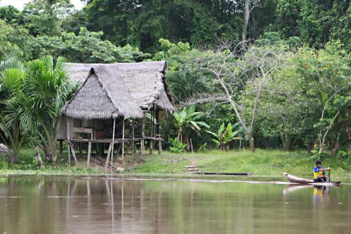 Podróż do serca peruwiańskiej Amazonii z odrobiną luksusu Wycieczka (L1-101)
