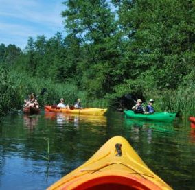 Obóz Mazurskie Chillowanie nad Jeziorem Bęskim Mazury Bęsia wiek 11-18 lat 2026 (J1-047)