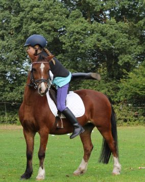 Obóz jazda konna Międzyrzec Podlaski wiek 8-18 lat 2026 (A1-797)