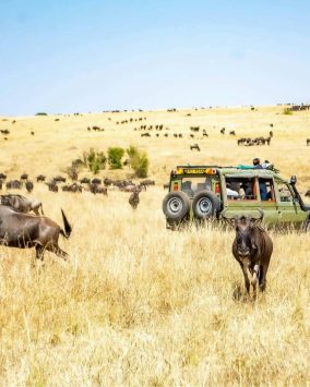 Pielgrzymka do Kenii – 12 dni samolot 2026 (M1A-151)