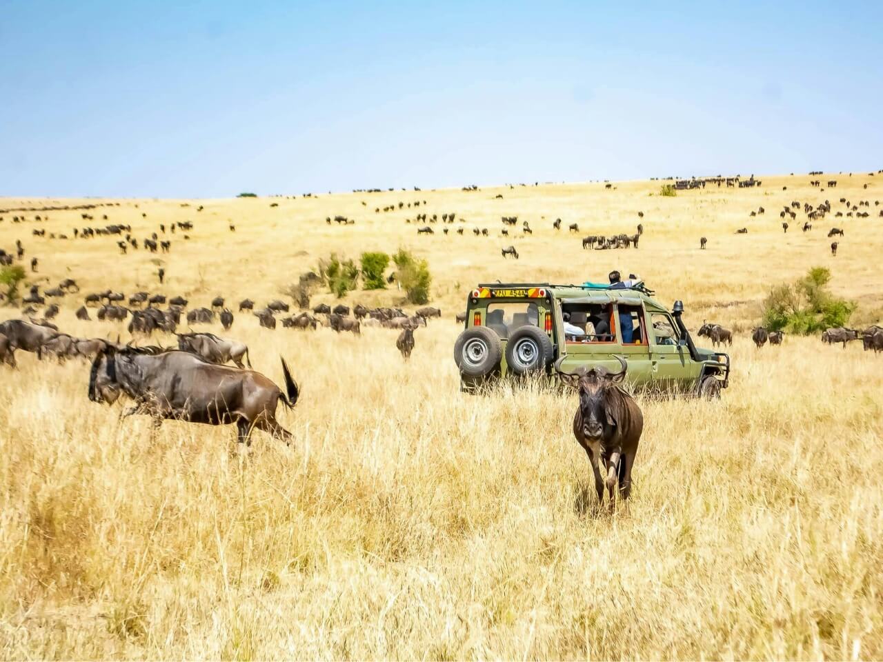 Pielgrzymka do Kenii - 12 dni samolot (M1A-151)