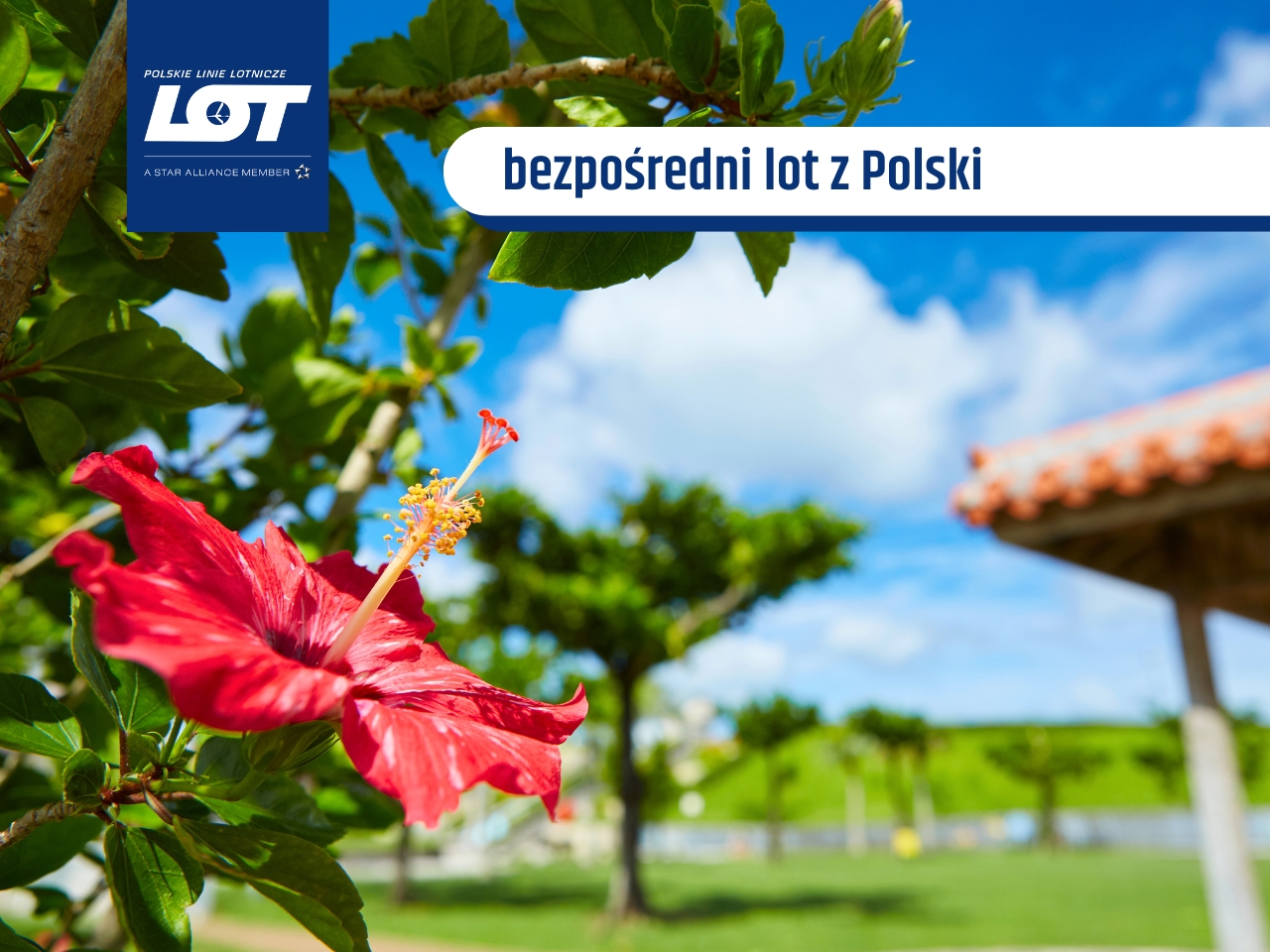 Oblicza Japonii - Wycieczka do Japonii z Okinawą - 12 dni samolot (M1A-158)