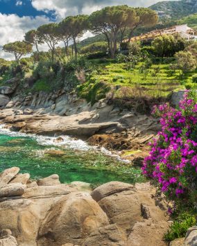 Pielgrzymka do Toskanii i Cinque Terre – 8 dni samolot Włochy 2026 (M1A-204)