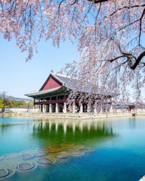 Pielgrzymka do Korei i na Jeju – 9 dni samolot 2026 (M1A-222)