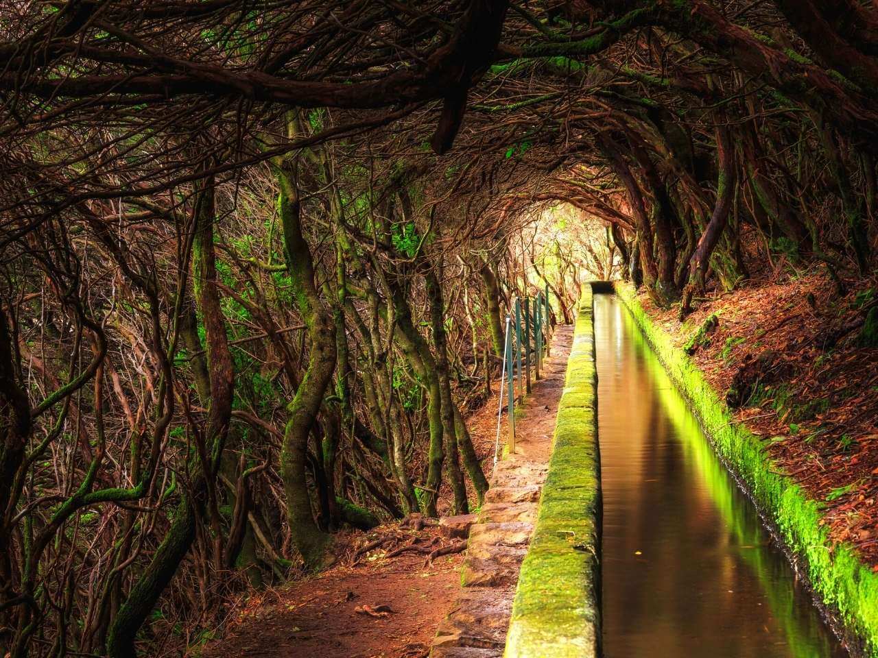 Sylwester na Maderze - 8 dni samolot WAW GDA (M1A-218)