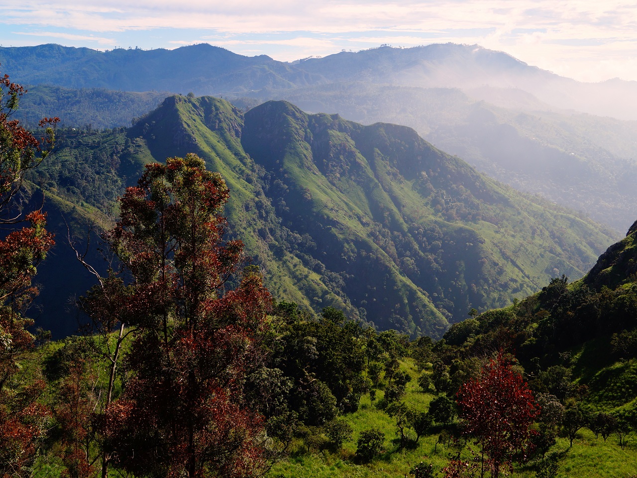 Sylwester na Sri Lance 13 dni samolot (M1A-219)