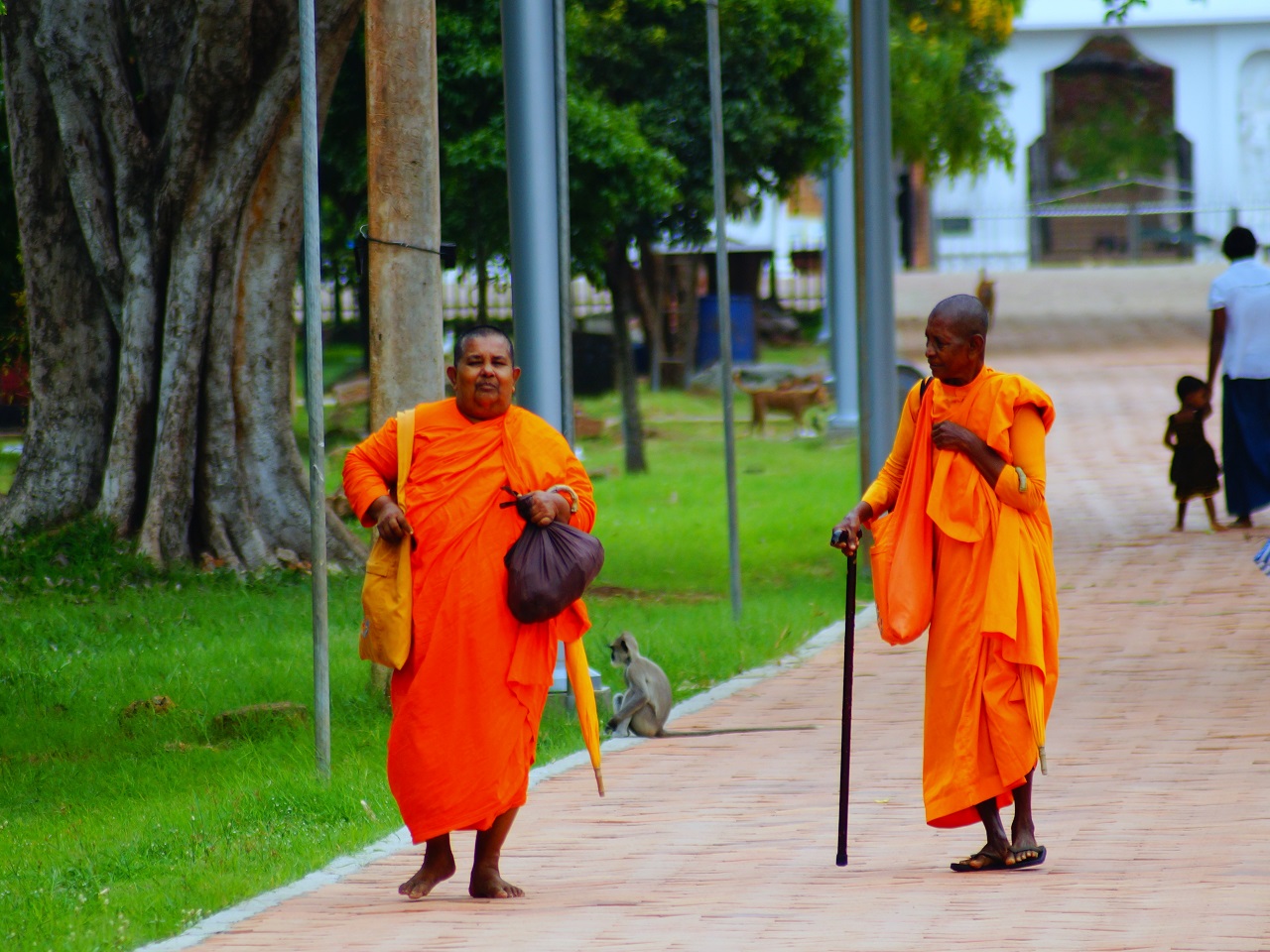 Sylwester na Sri Lance 13 dni samolot (M1A-219)