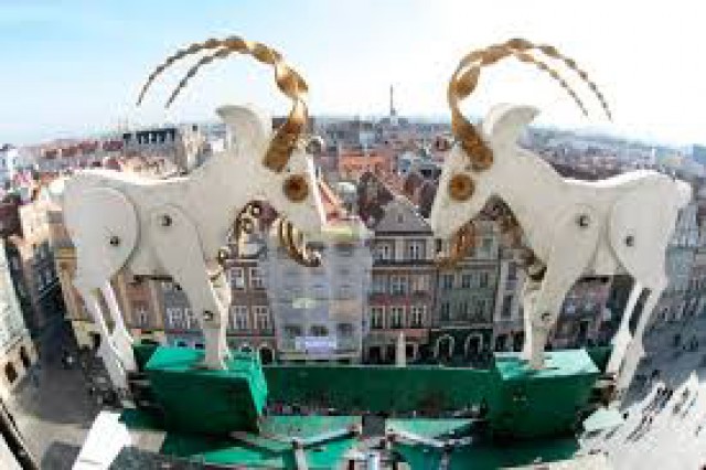 Koziołkowa Przygoda - wycieczka do Poznania 3 dni wiek 7-18 lat / Wycieczka szkolna (K1-366)