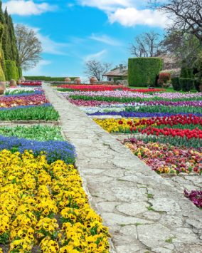 Tajemnice Morza Czarnego Wycieczka Bułgaria 10 dni 2026 (E1-063) BUL109P